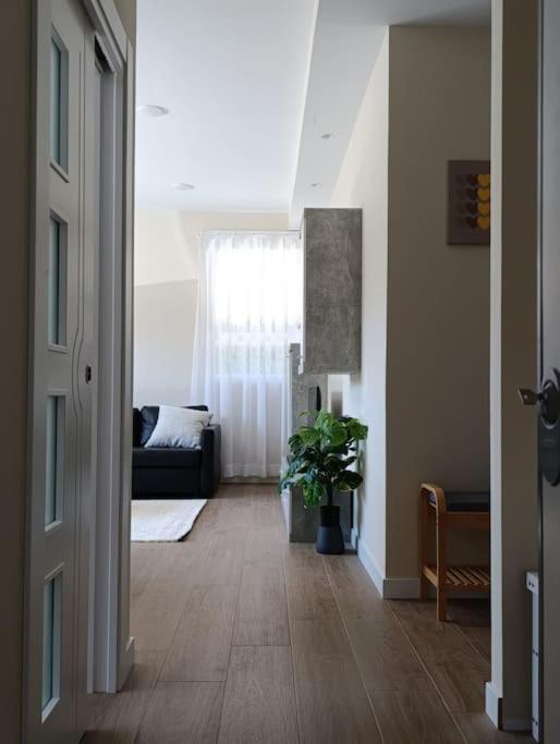Amplio Y Tranquilo Apartamento Casa Salamanca Ngoại thất bức ảnh